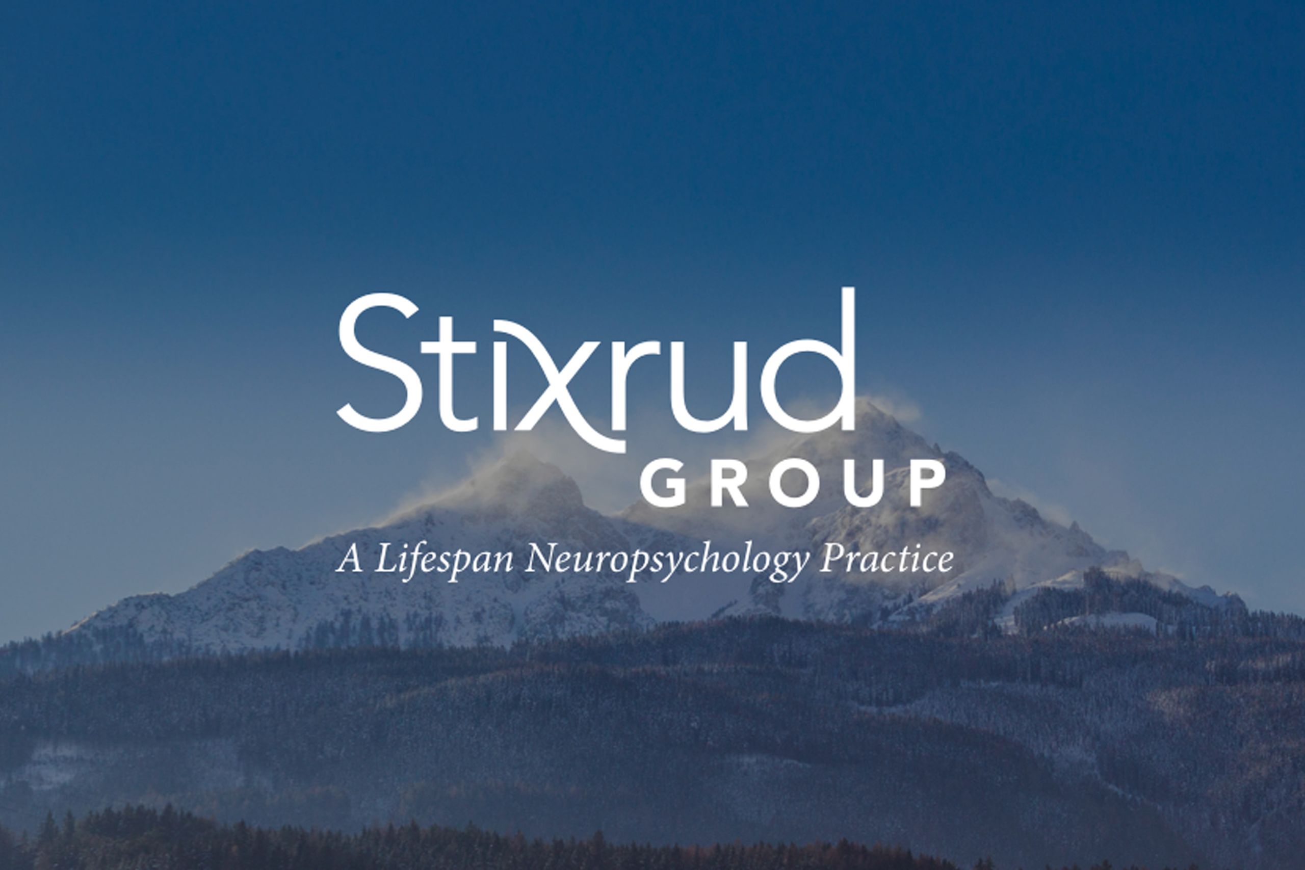 Stixrud Group: A Neuropsychology Practice